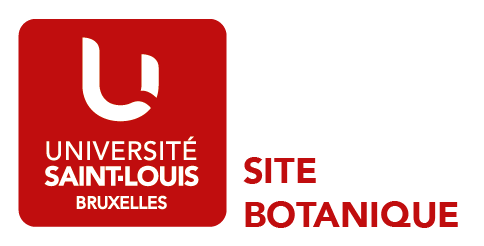 Université Saint-Louis - Syllanet